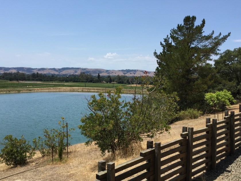 View from the Tasting Area